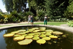 B11-Botanical-gardens