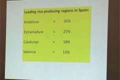 04-Leading-rice-producing-regions-in-Spain