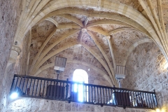 G16-Vaulted-ceiling