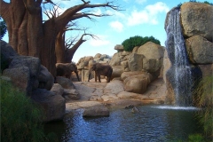 25-The-Elephant-enclosure