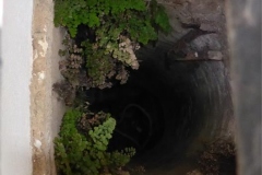 35-Looking-down-the-well-