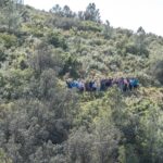 Permalink to: Camino de Santiago stage 10a Fontanars-Ontinyent