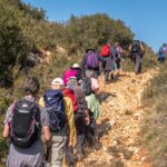 Permalink to: Camino Walking 2019/20 Itinerary