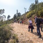 Permalink to: Planned Camino de Santiago Toledo-Avila postponed until 2020