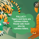 Permalink to: "What are fallacies? Can you spot them?"