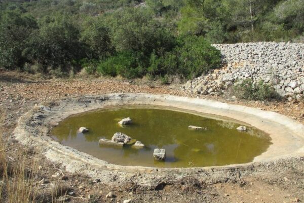 The “Dirty Pond” and glorious views of the Montgo