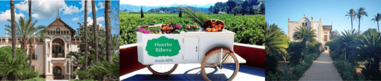 The orange orchards of Huerto Ribera with lunch at the Restaurante Molí Canyar (in a restored 15th-century mill)