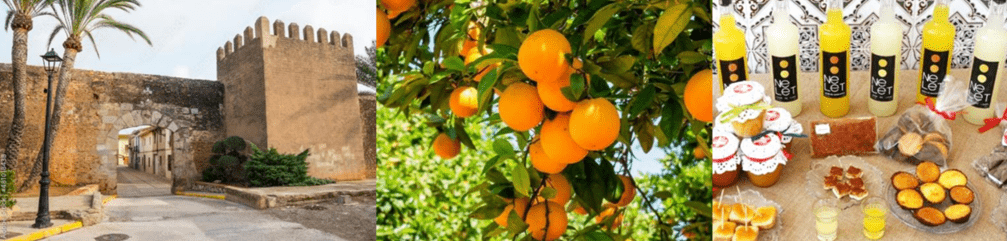 SC&C day trip: Mascarell & Matafruit Naranjas.