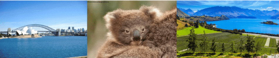 Tuesday Travellers’ Tales presentation: Cruising from Australia to New Zealand.
