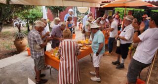 Happy memories of the SC&C trip to Mascarell & Matafruit Naranjas! Happy memories of the SC&C trip to Mascarell & Matafruit Naranjas!
