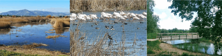 Getaway Guided Walks: Ruta Marjal de Moros y Grau Vell