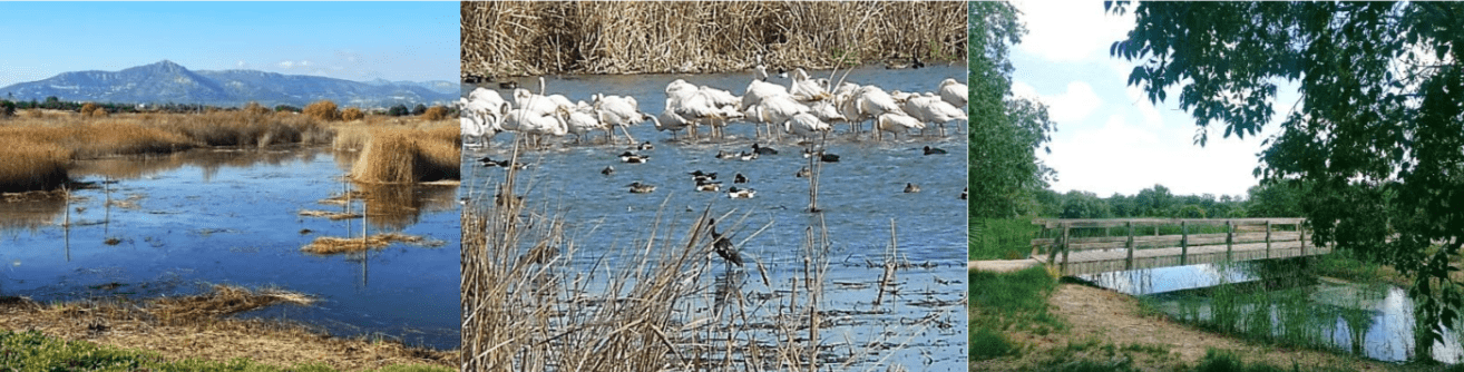 Getaway Guided Walks: Ruta Marjal de Moros y Grau Vell