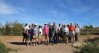 A walk through the marshes at Puçol
