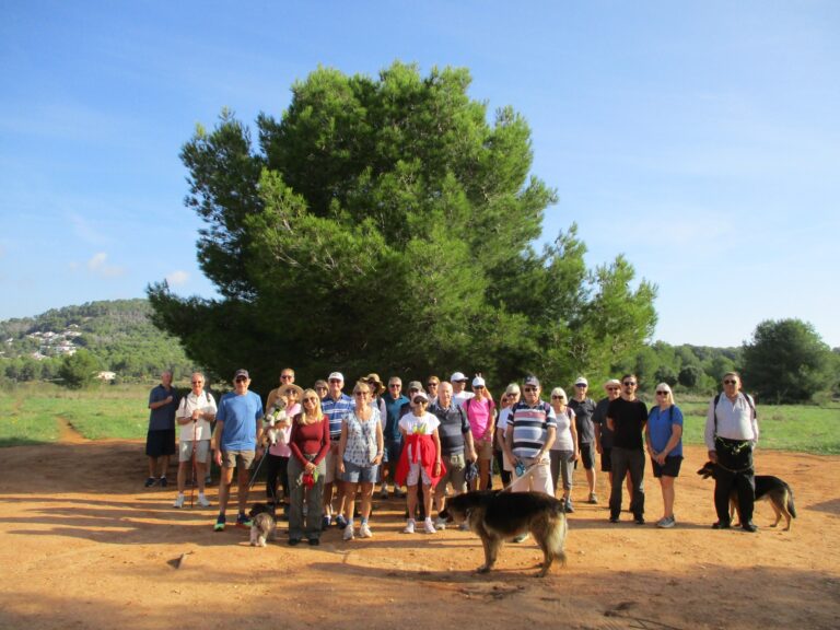 Walking Group - Thursday 16th October 2025