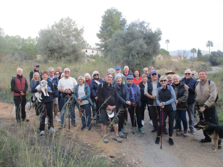 Walking Group - Thursday 11th December 2025