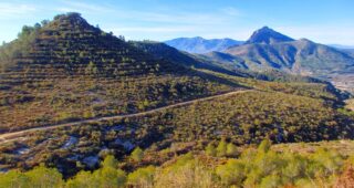 Getaway Guided Walk: Salem circular route, Safor area.