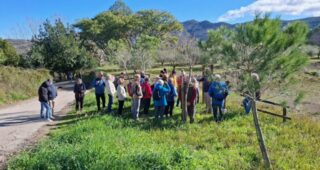 Sunshine and blue sky for our Getaway Guided Walk around Salem!