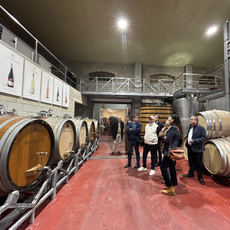 Visit to Casa Sicilia Bodega