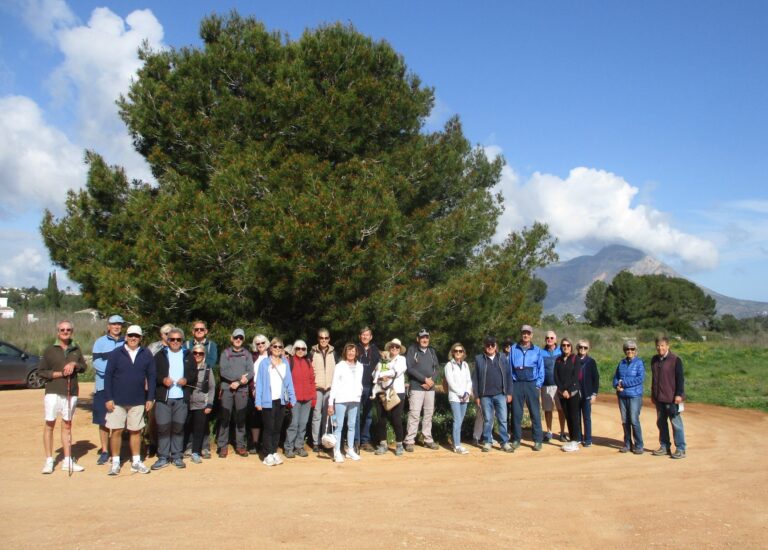 Walking Group - Thursday 19th March 2026