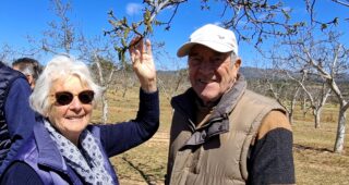 Exploring the world of walnuts and wine!