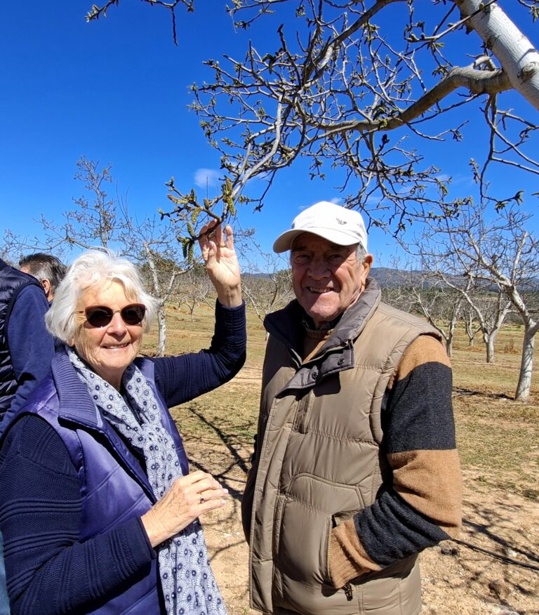 Exploring the world of walnuts and wine!