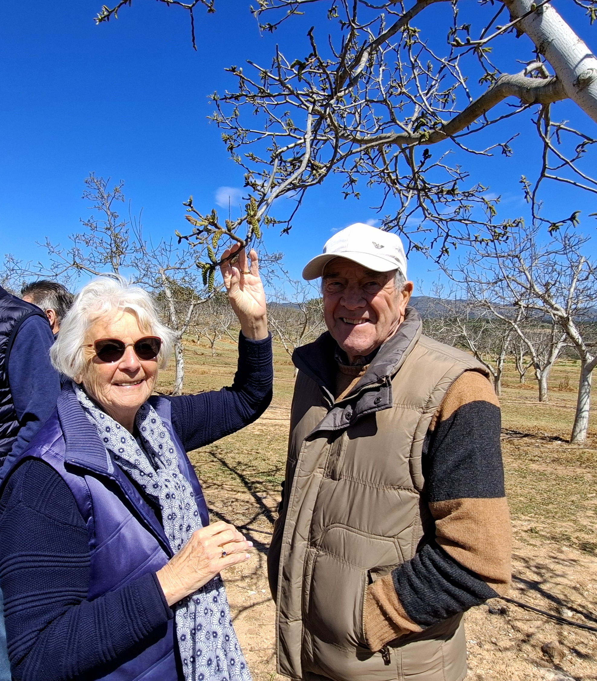 Exploring the world of walnuts and wine!