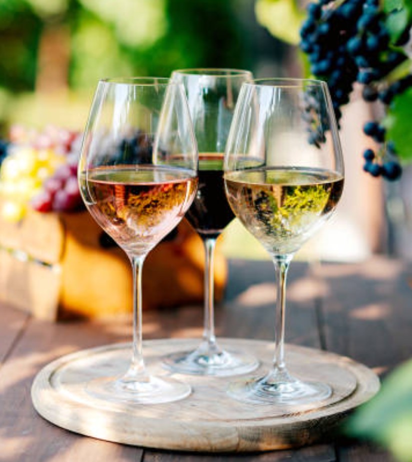 Wine Appreciation – Thursday WAGS