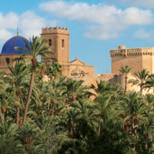 Day Trip to Elche -17 April