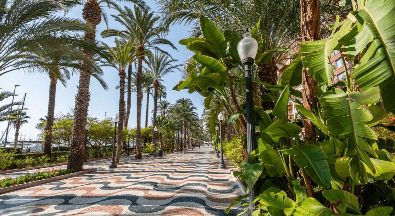 Day trip to Alicante