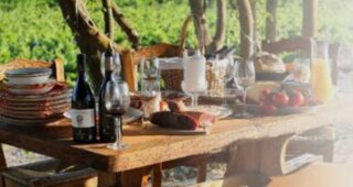 Bodega Castaño day trip – only 4 spaces still available!