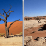 Next Travellers Tale: “A Tour of Namibia”