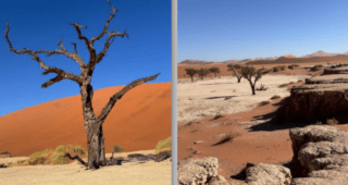 Next Travellers Tale: “A Tour of Namibia”