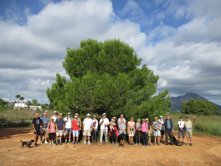 Walking Group - Thursday 22nd October 2026